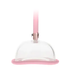 Pumped Pompe à vagin - Rose Gold